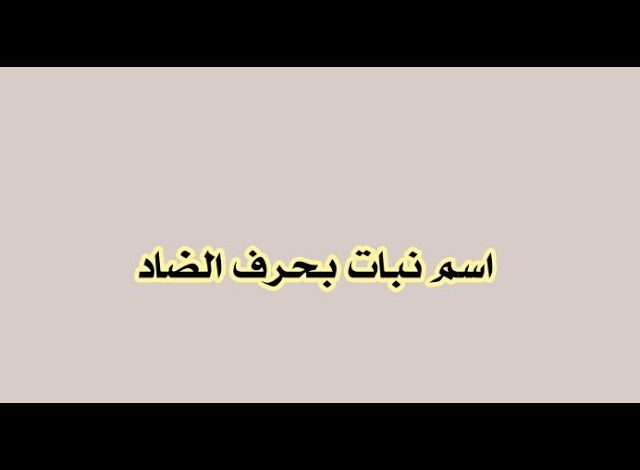 اسم نبات بحرف ض